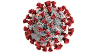 Government to monitor impact of coronavirus on UK medicine supply